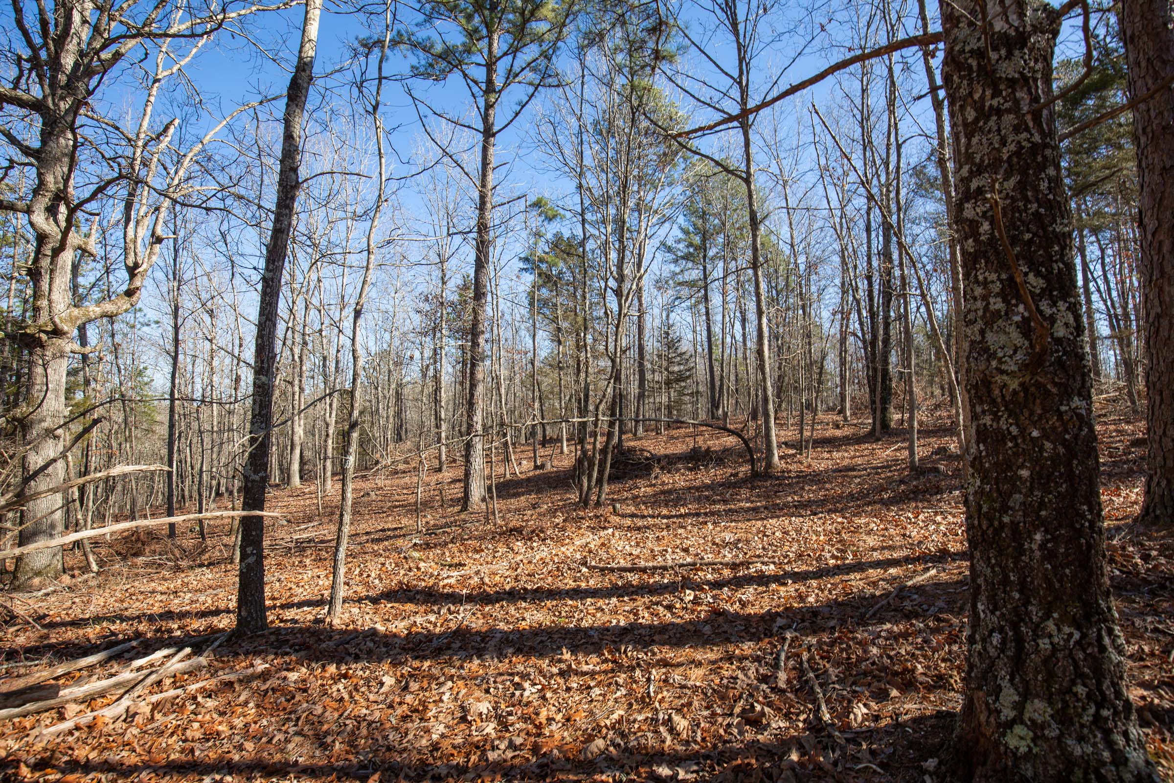 Tract 12 at Oconnor Crossing in Shannon County, Missouri