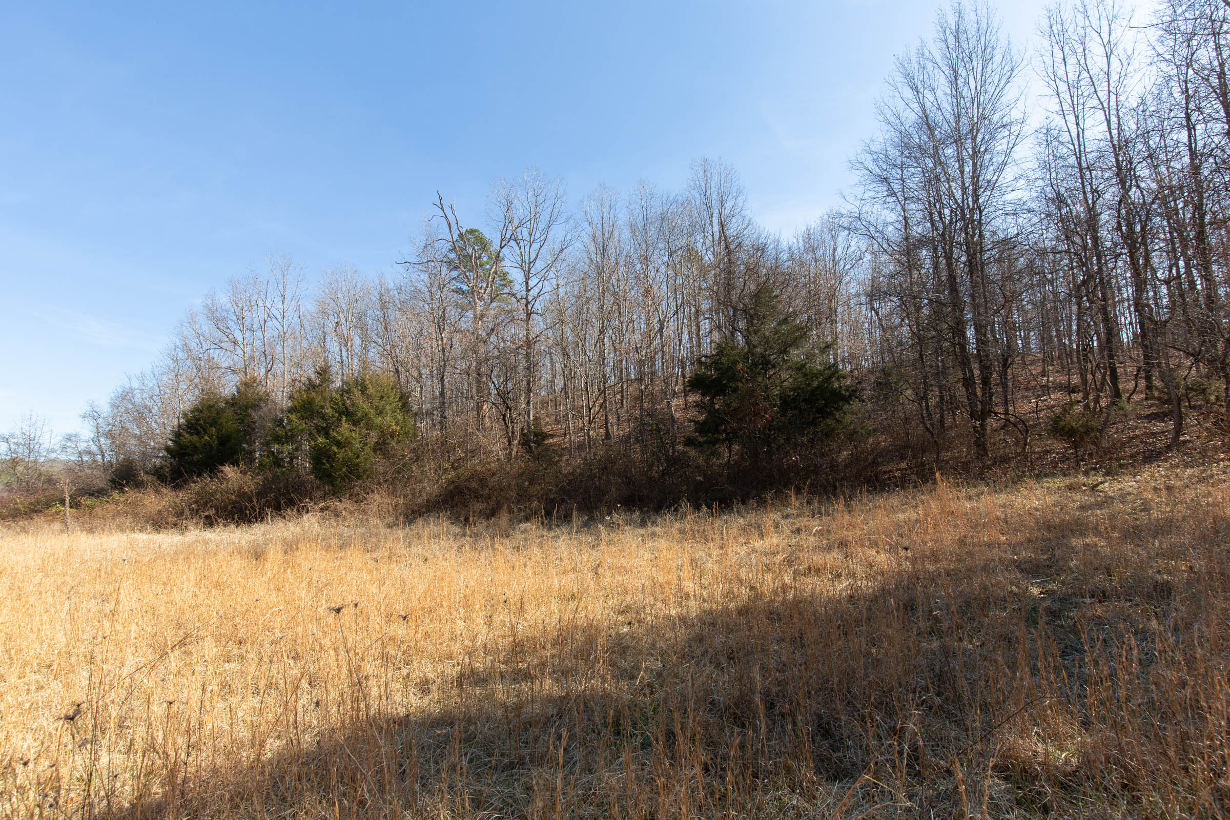 Tract 34 at Oconnor Crossing in Shannon County, Missouri