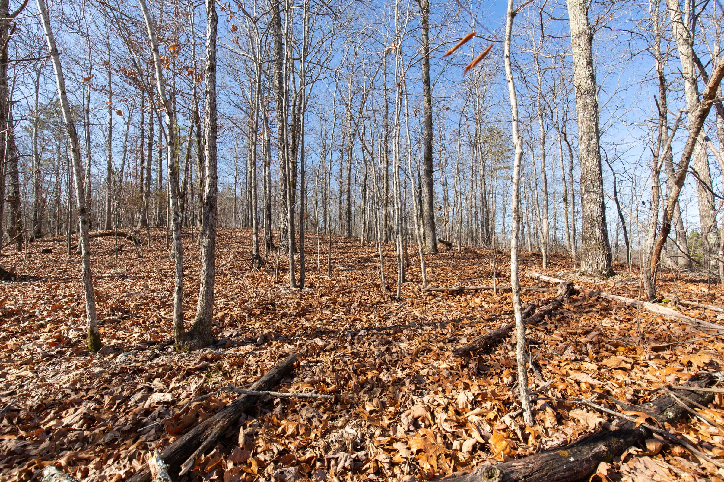 Tract 37 at Oconnor Crossing in Shannon County, Missouri