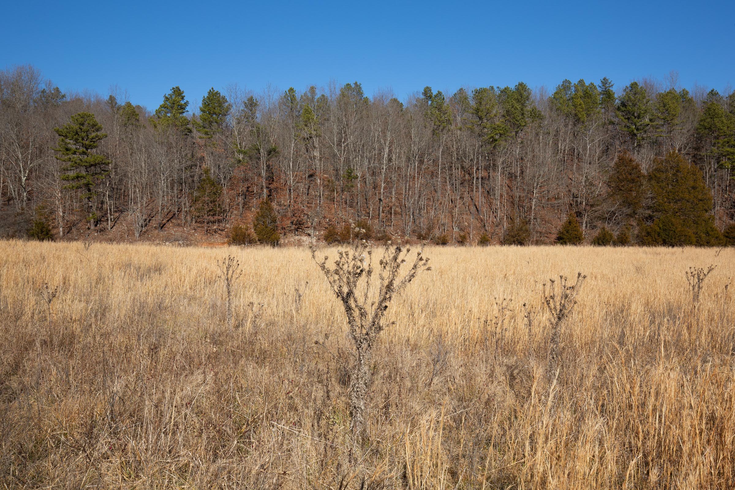 Tract 4 at Oconnor Crossing in Shannon County, Missouri